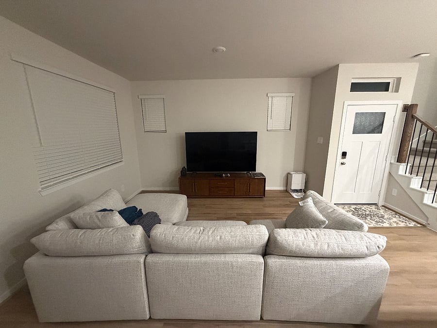 Downstairs couch and TV