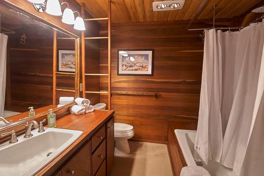 master bedroom bath