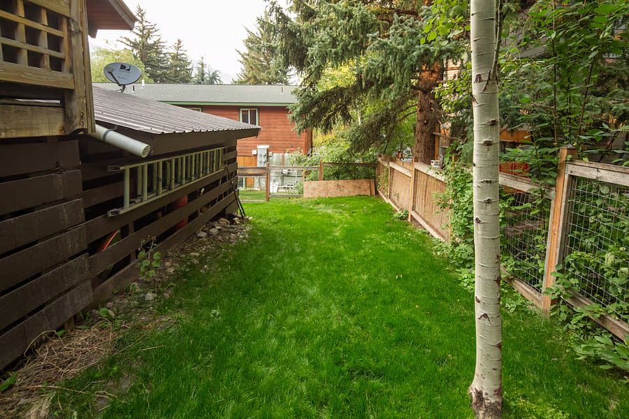small yard with full fencing