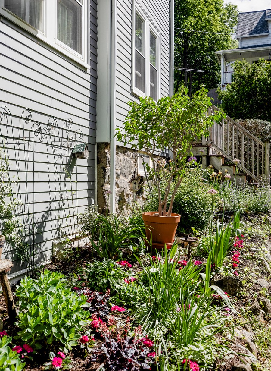 side gardens