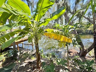 Furnished Finder property 993804_1 photo 14