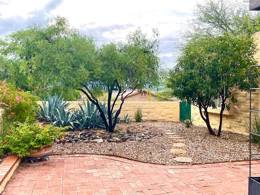 Garden view