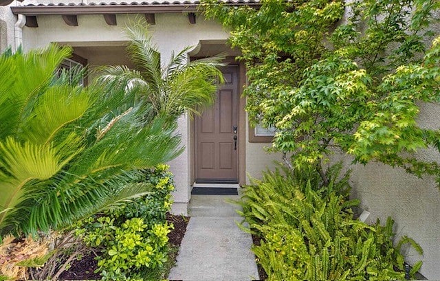 Inviting entry way.