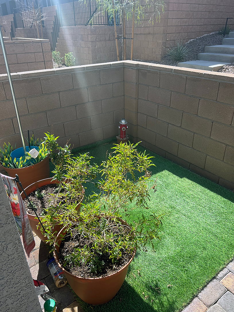 Pet poop area