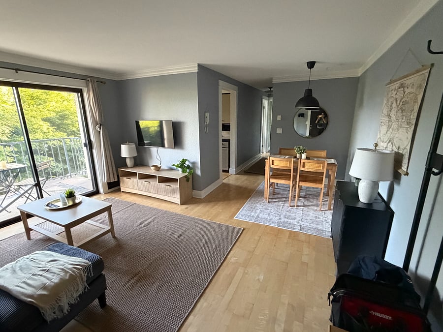 Living Room / Dining Area