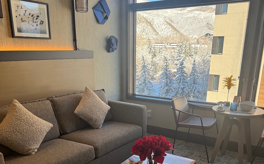 Cozy seating area. Sleeper sofa (full size)