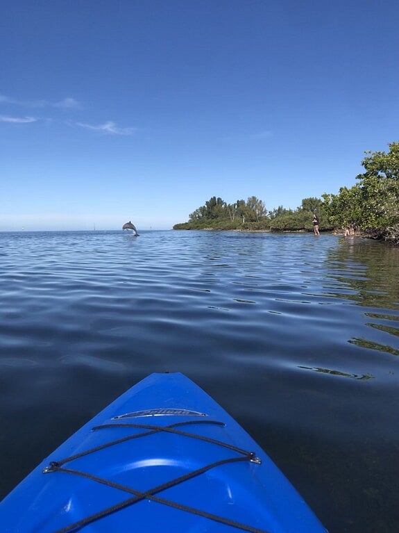 Nearby gulf with dolphins, just five minutes away by kayak