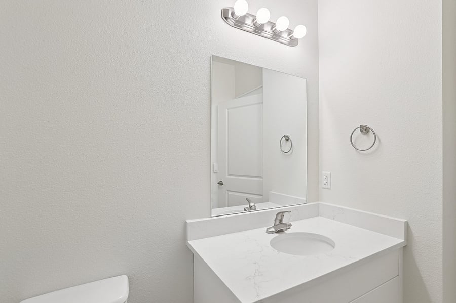 Master bathroom with vanity, toilet and walk-in shower.