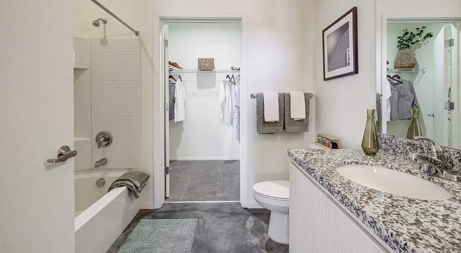 Bathroom and Walk in Closet