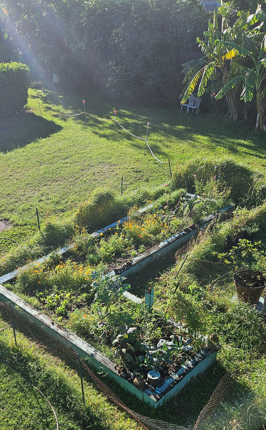 Veggie garden.  Shared with downstairs neighbor.  