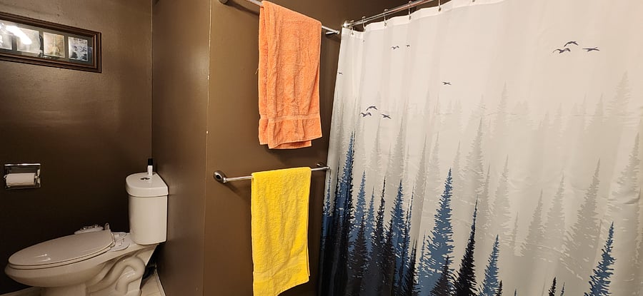 Hallway Bathroom