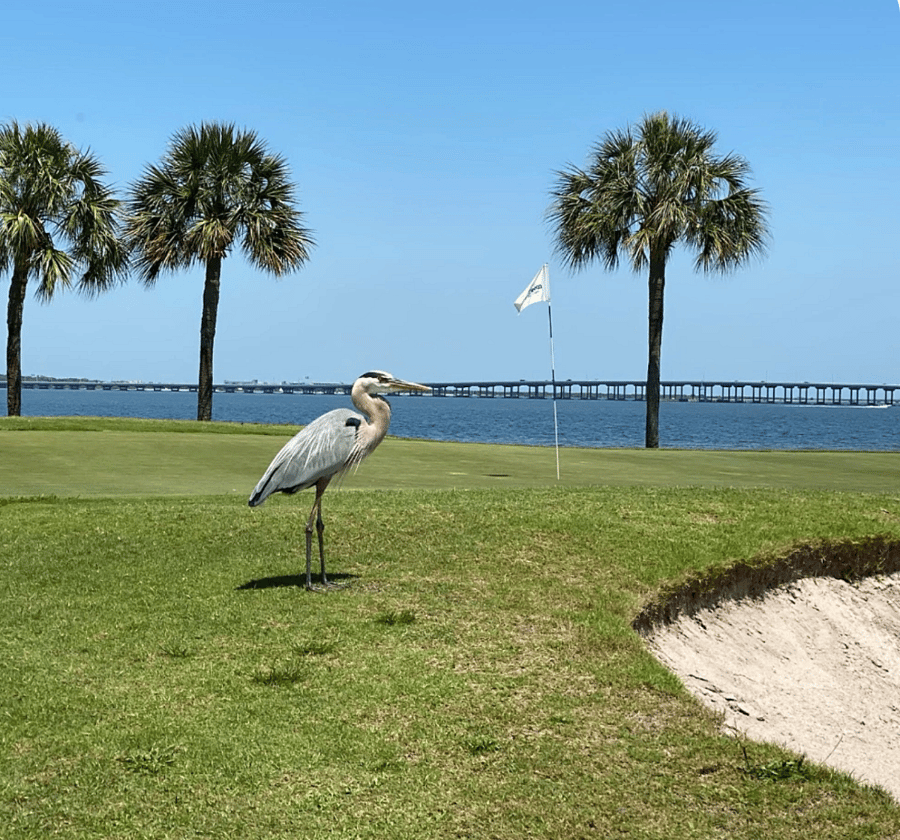 Bayview of County Campbell Causeway.