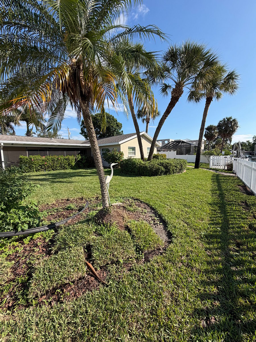 Furnished Finder property 994263_1 photo 16