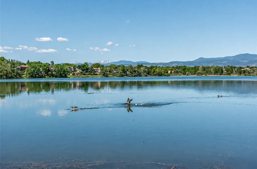 Neighborhood pond, great for fishing or kayaking, paved walking paths, 3 miles around the pond