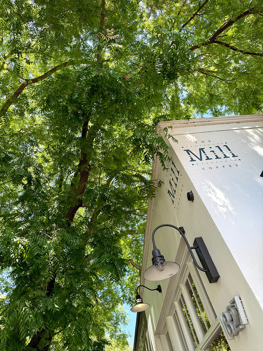 The Mill, a favorite local coffee roaster, I and 19th, 3 blocks