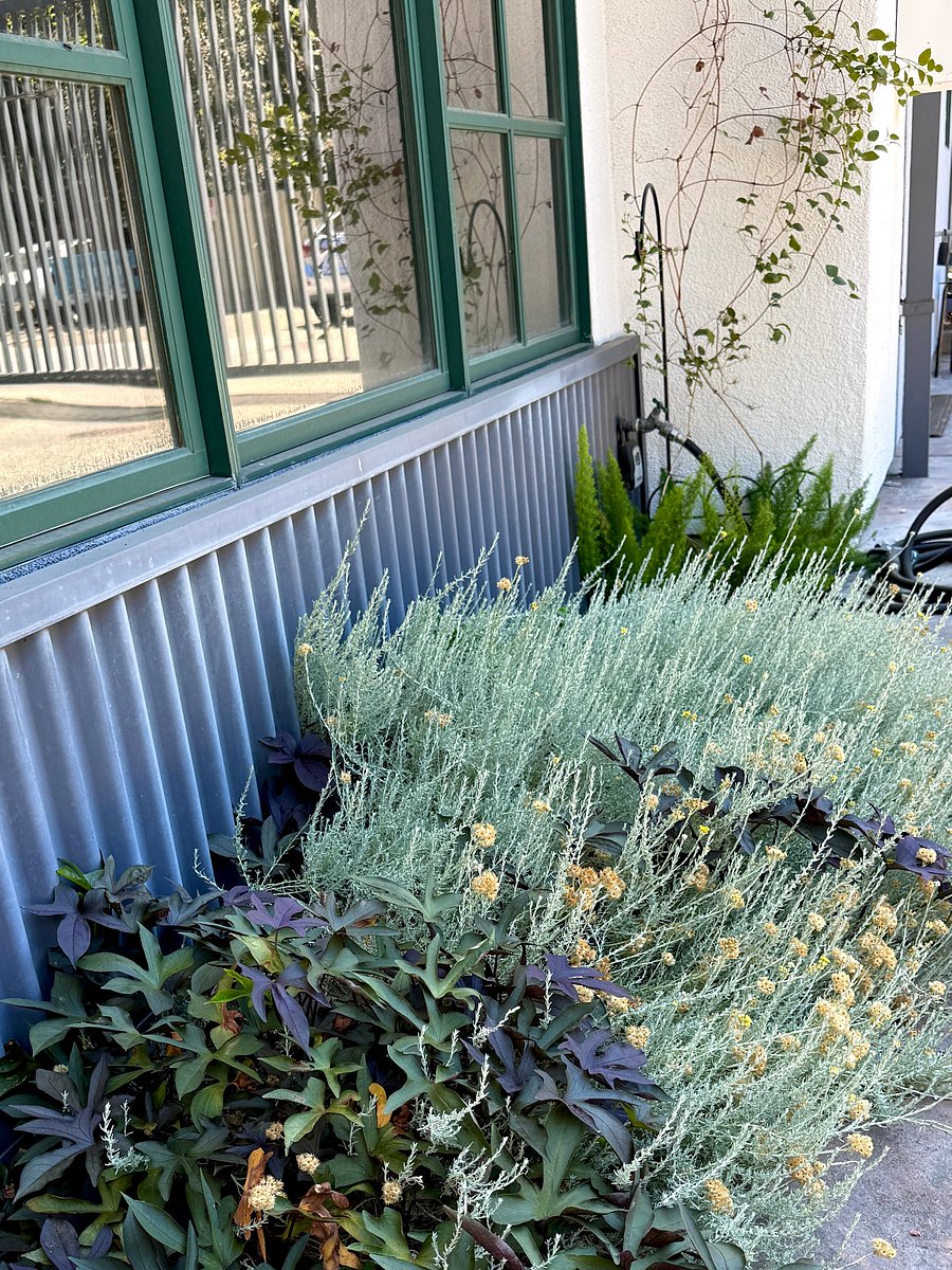 Front flower bed
