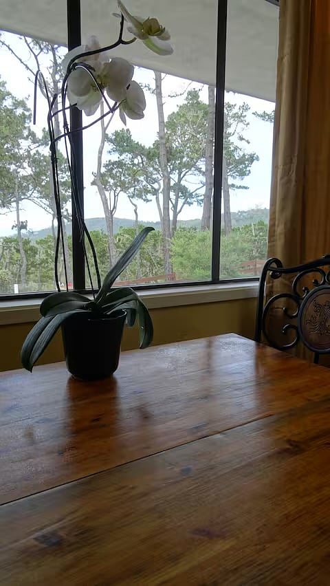 Furnished Finder property 994598_1 photo 10