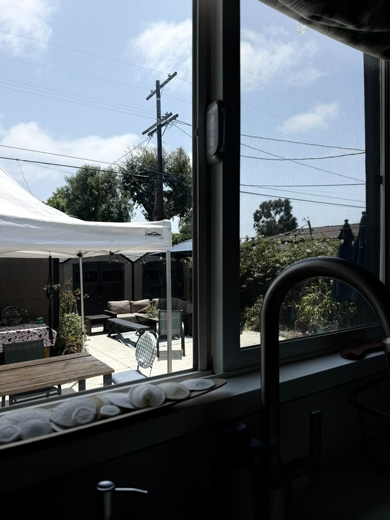 View from Kitchen to backyard