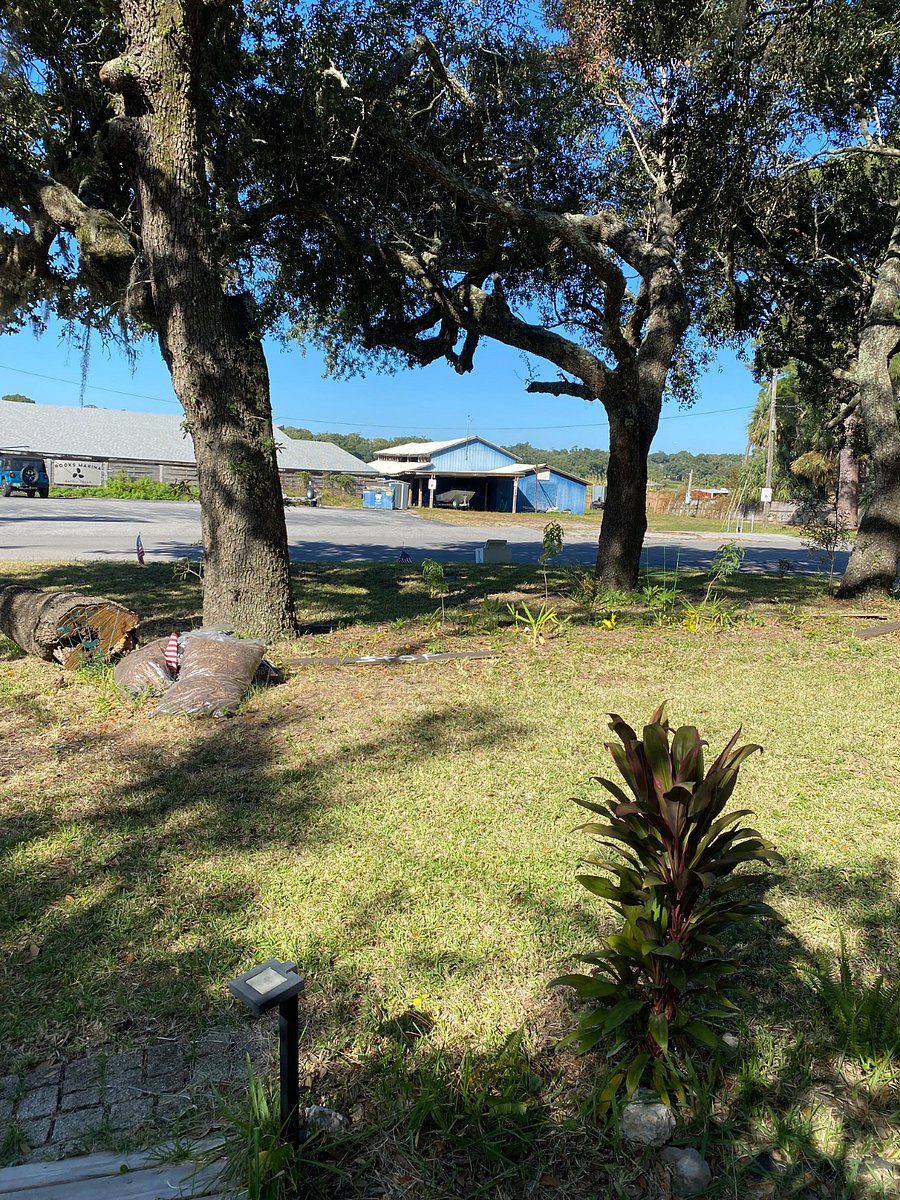 Great open area for kids & pups to play