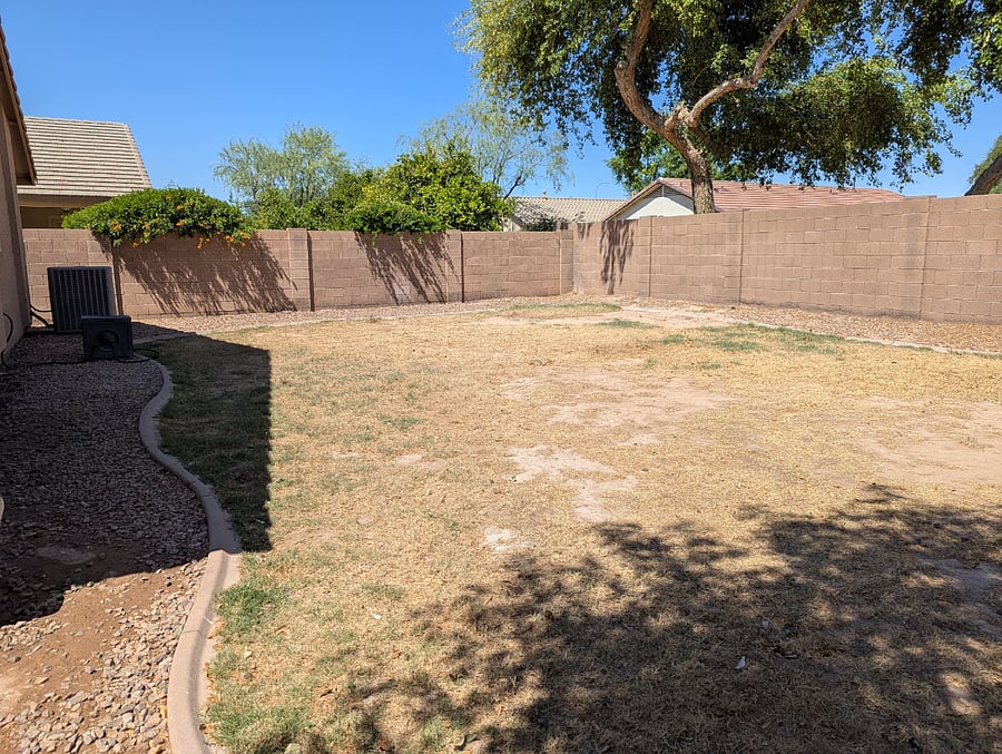 fenced back yard