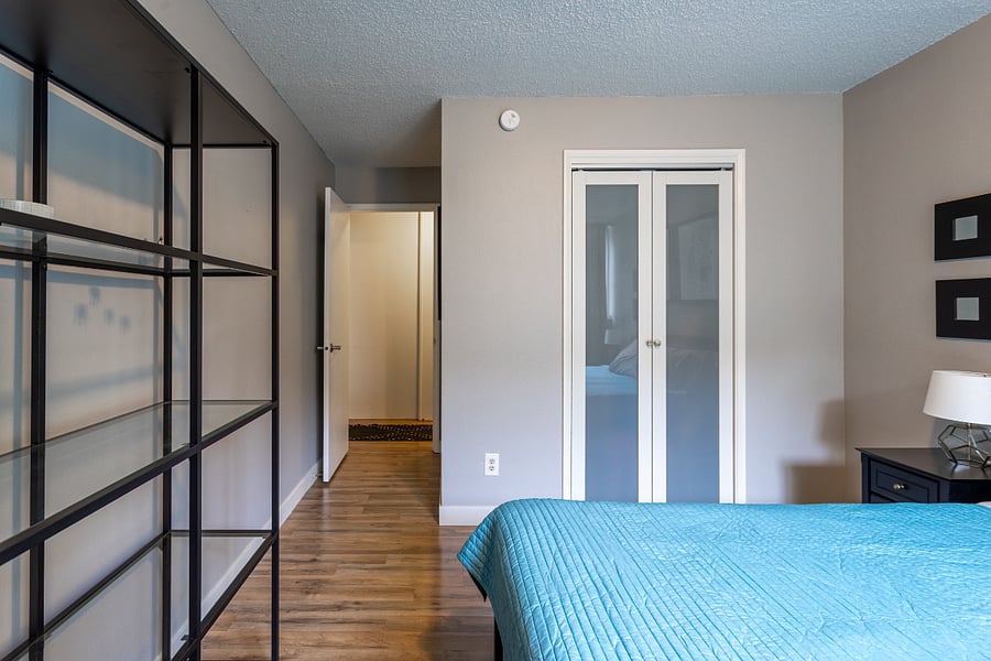 Master bedroom, view towards the hall and the walk-in closet.