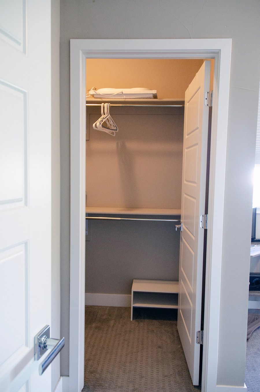 Bedroom 2 walk in closet