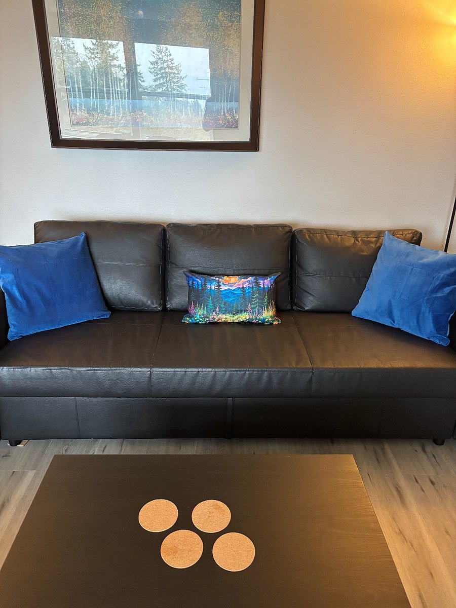 Pull out queen size sofa bed