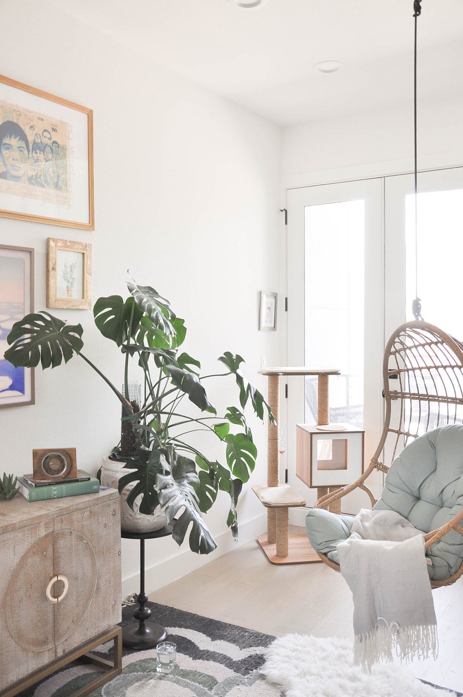 Tons of Natural Light and Plant Life