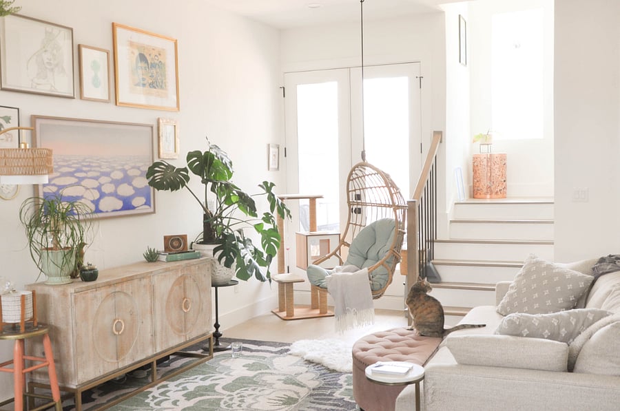 Living Area with Kiwi (The Cat)