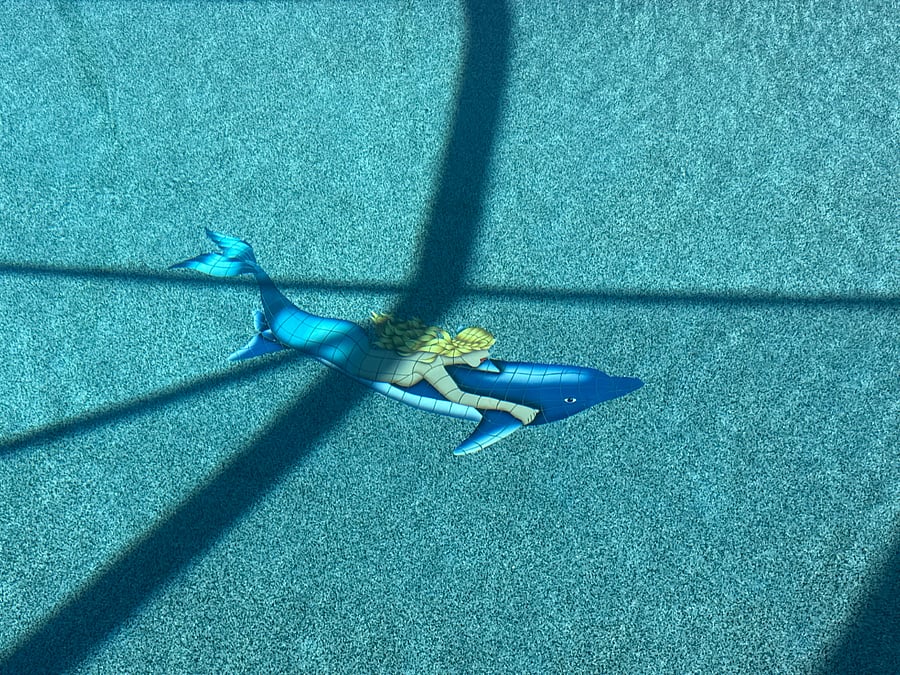 Newly remodeled pool
