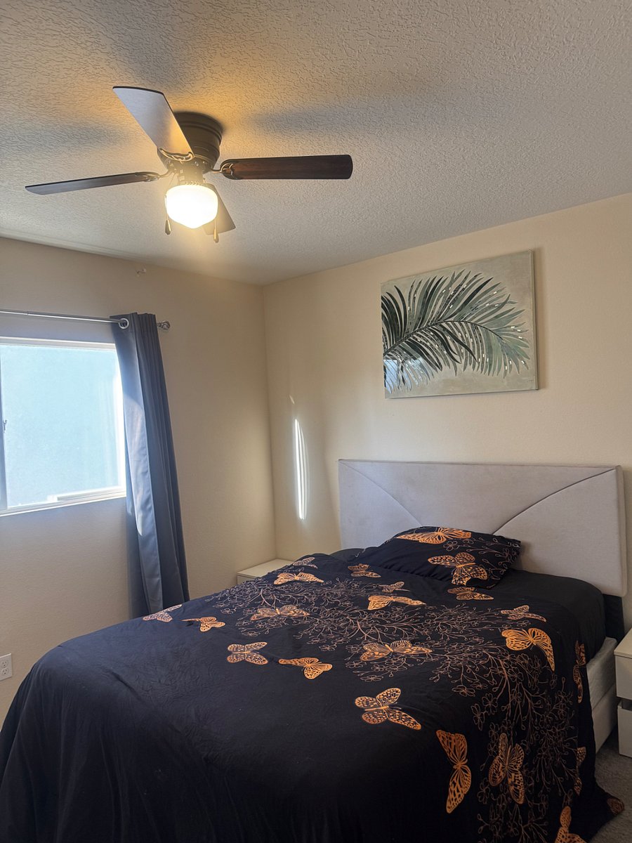 Furnished Finder property 995251_1 photo 5