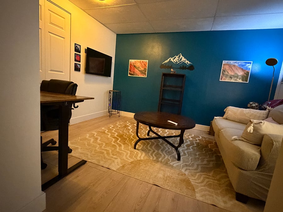 Basement living room