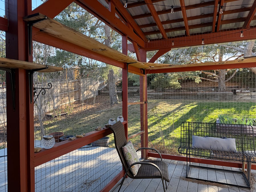 Backyard with catio