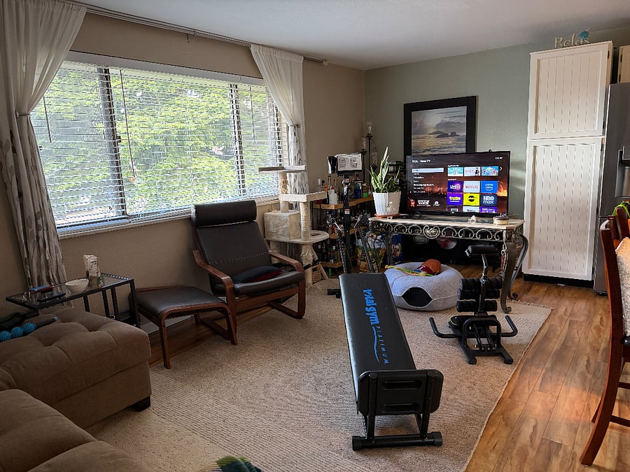 Upper living room /kitchen