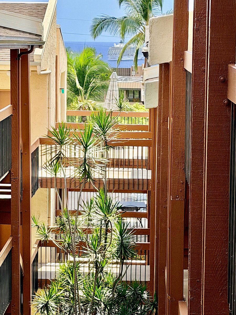 Furnished Finder property 995479_1 photo 15