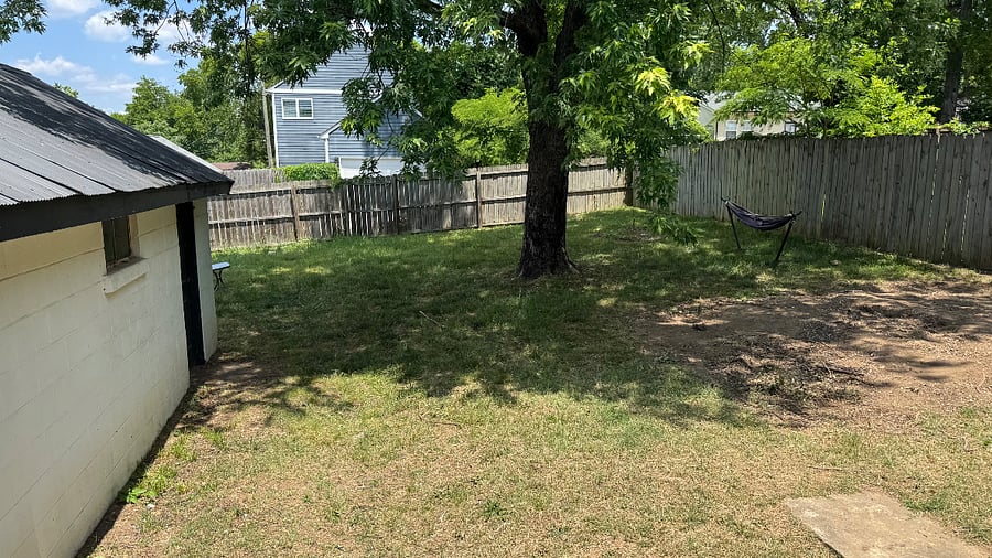 Backyard