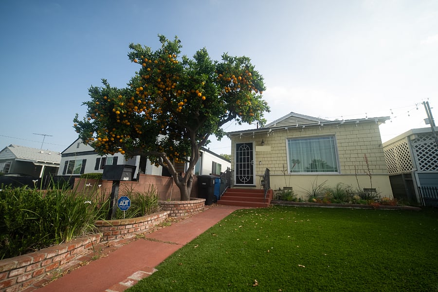 Front of the house comes with an orange tree, landscaped yard (fake grass), and planter box of real low-maintenance succulents. String lights turn on at sunset automatically. 