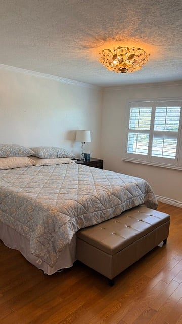 Furnished Finder property 995580_1 photo 8