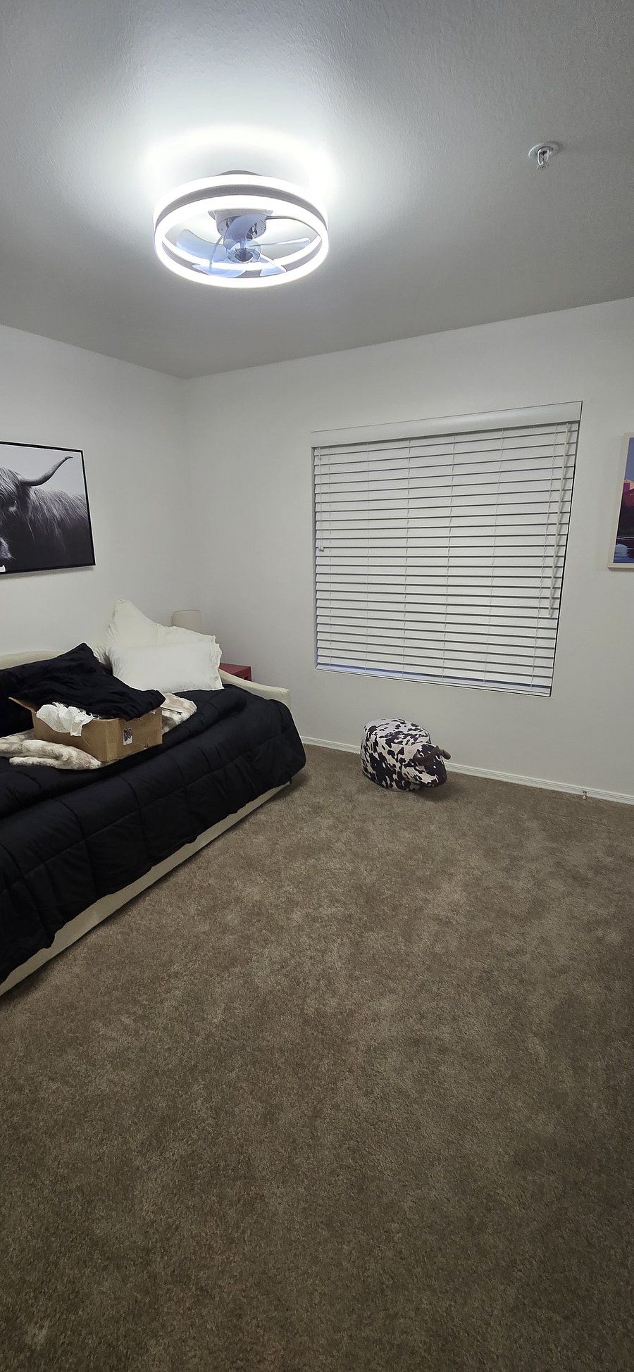 Furnished Finder property 995688_1 photo 15