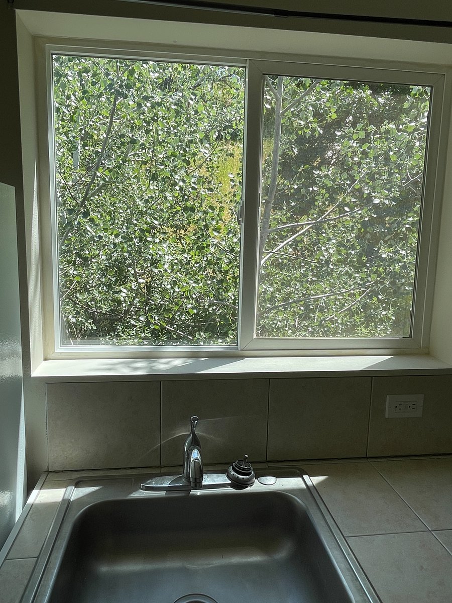 Enjoy the treetop view from the kitchen window