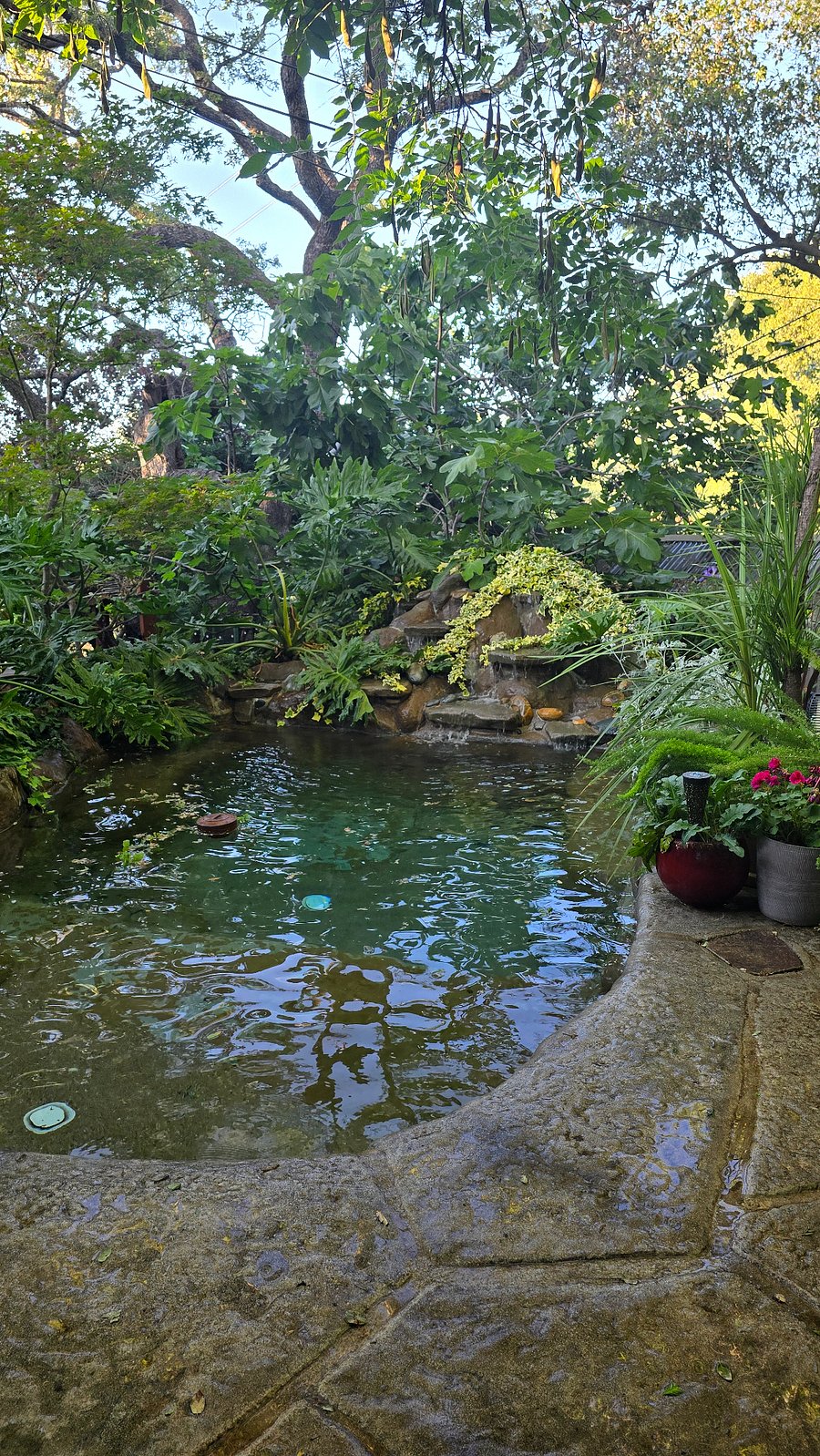 Swimming pool or, our People Pond as we call it. A perfect place to float and cool of in the summer heat!