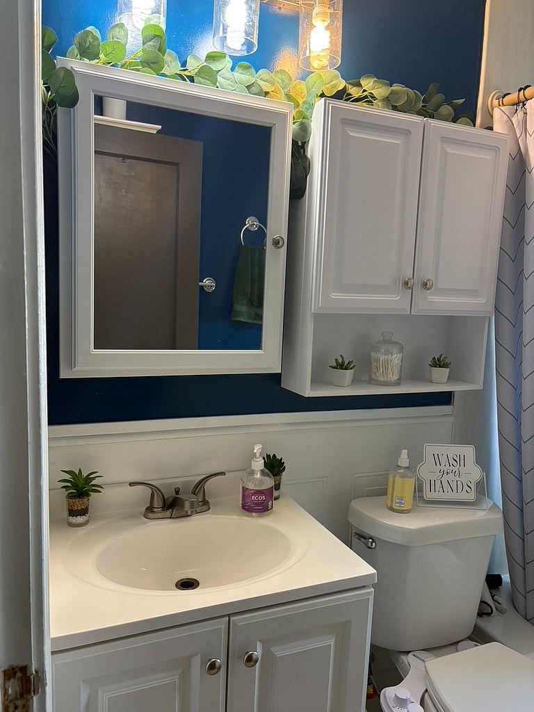 bathroom; toilet with bidet