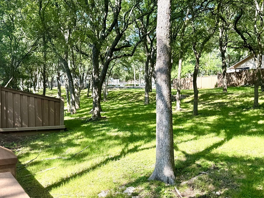 Furnished Finder property 996083_1 photo 24