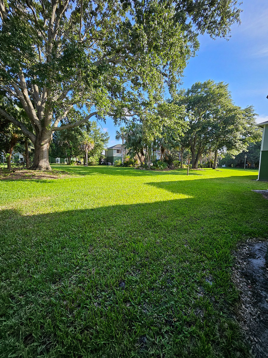 Furnished Finder property 996116_1 photo 15