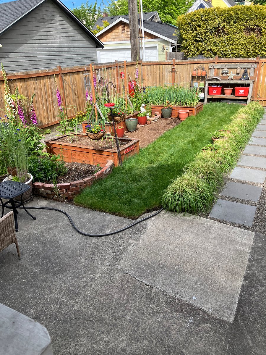 Vegetable garden with tomatos beans, garlic and onions 
