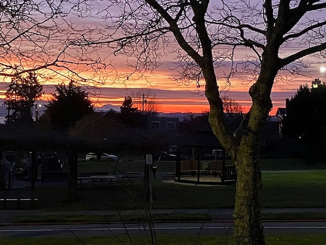 Gorgeous sunsets over the lovely neighborhood park across the street