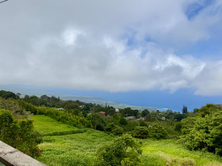 Panoramic Coastline view