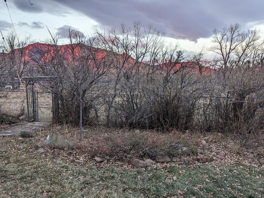 See the flatirons after the leaves have fallen in the fall.