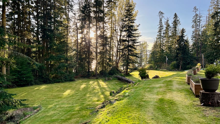 Tons of maintained open space for games, gatherings, quietude (usual patio furniture not shown)