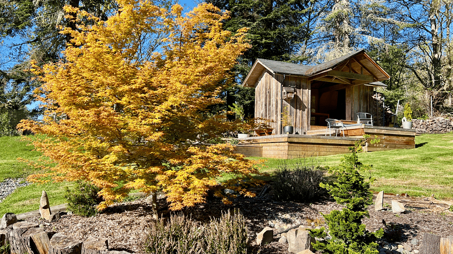 Lots of outdoor living space within WiFi range